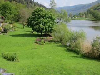 Neckarwiese