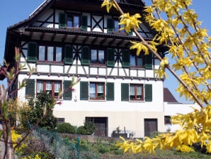 Ferienwohnung Kirschblüte - Oberkirch - image1