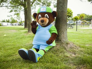 Chalet Baarland Caratteristiche 12