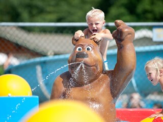 Chalet Baarland Caratteristiche 15