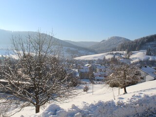 Holiday apartment Mitteltal Outdoor Recording 14