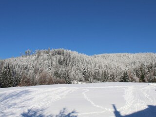 Vakantieappartement Mitteltal Buitenaudio-opname 13