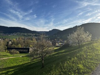 Vakantieappartement Mitteltal Buitenaudio-opname 10