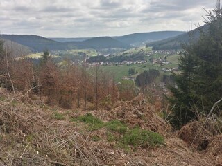 Vakantieappartement Mitteltal Omgeving 29