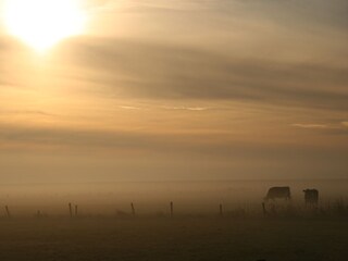 Vakantieappartement Nes Omgeving 11