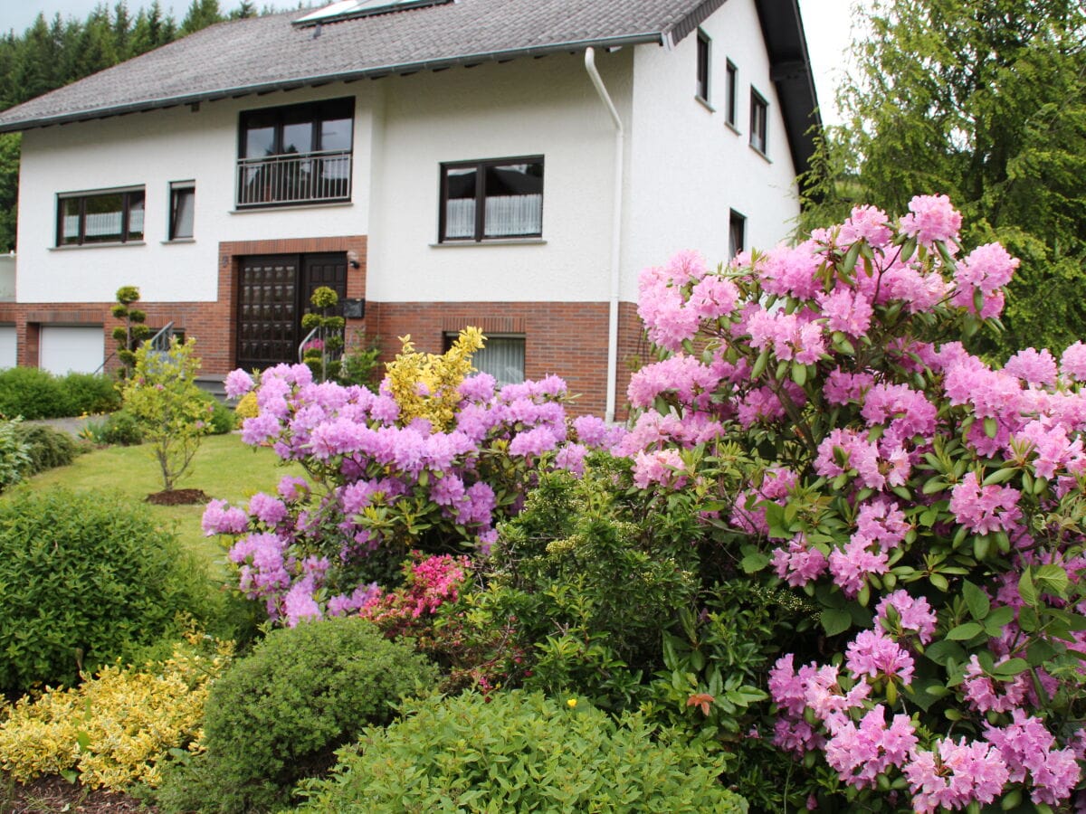 Garten mit Terrasse