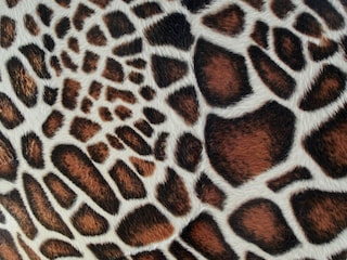 Appartement de vacances Langeoog Équipement 35