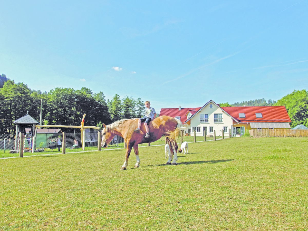 Weide für Ziegen und Hühner