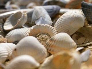 Appartamento De Koog Ambiente 23