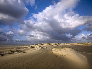 Appartamento De Koog Ambiente 24