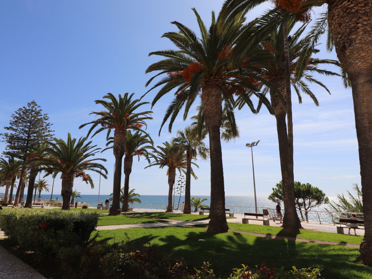 in 200 m Start der Fußgängerpromenade direkt am Strand