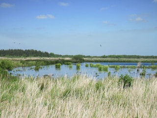 Naturschutzgebiet Steller See