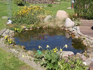 Springtime at the pond