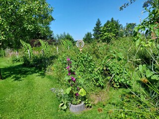 Vakantieappartement Stelle-Wittenwurth Buitenaudio-opname 24