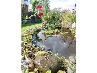 Holiday apartment Stelle-Wittenwurth Outdoor Recording 22