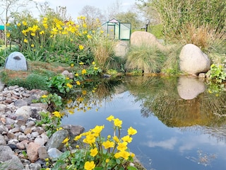 Natur pur im  Frühling