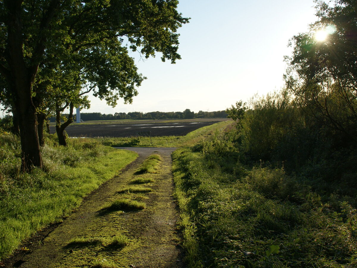 Blick auf das "Weiße Moor"