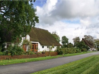 Appartement de vacances Stelle-Wittenwurth Équipement 30