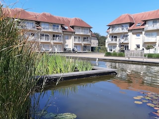 Ferienwohnung De Haan Außenaufnahme 4