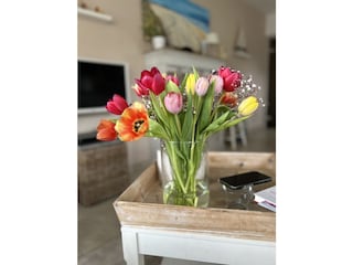 Appartement de vacances De Haan Équipement 21