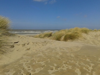 Appartement de vacances De Haan Environnement 26