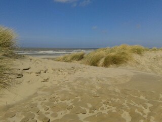 Vakantieappartement De Haan Omgeving 26