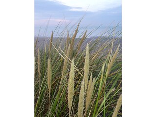 Appartamento per vacanze De Haan Ambiente 27