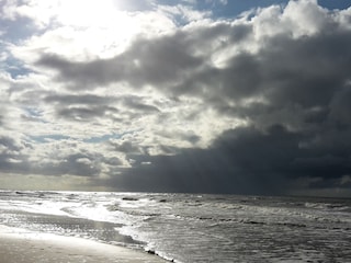 Appartement de vacances De Haan Environnement 29