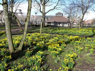 Appartamento per vacanze De Haan Ambiente 30