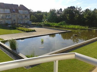 Blick vom Wohnzimmer und  Balkon