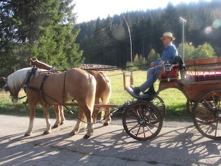 Carriage ride with the neighbor