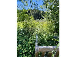 Bench for beaver observation
