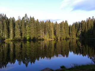 Vakantieappartement Hinterzarten Buitenaudio-opname 6