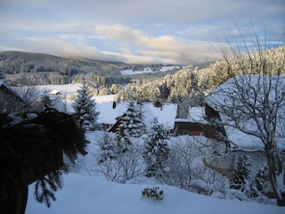 Blick Richtung Feldberg