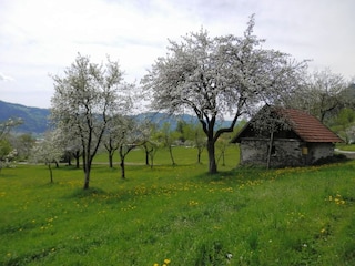 Spaziergang nach Bodensdorf