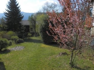 Garten im Frühling