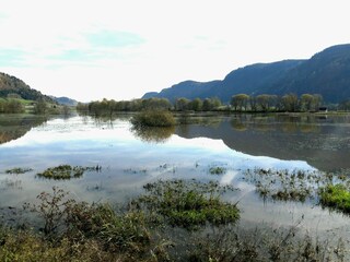 Bleistätter Moor - Steindorf Ossiachersee