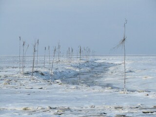 Hafeneinfahrt im Winter