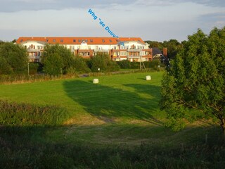 Blick vom Nordseedeich