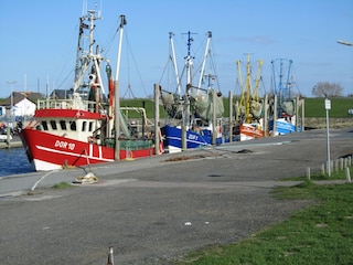 Kutterhafen