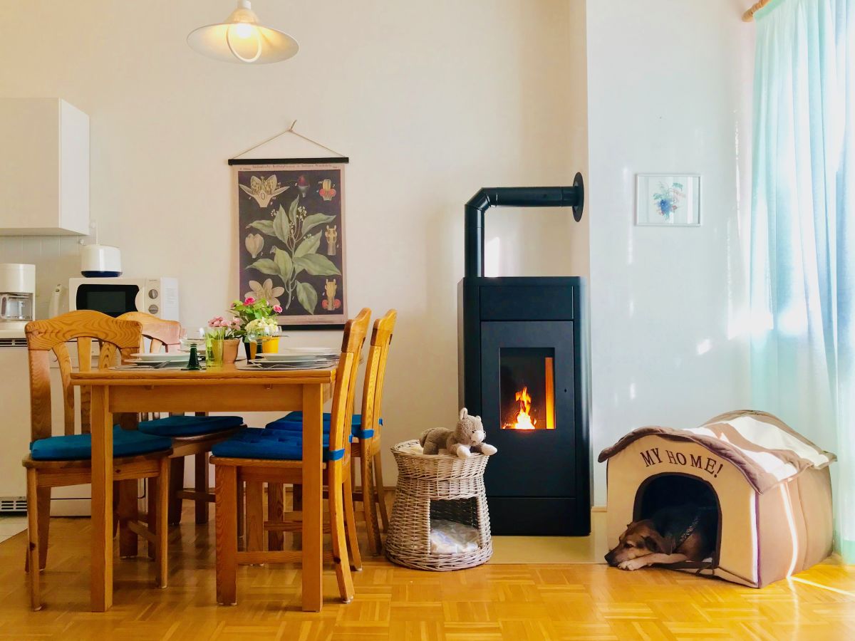 Ferienwohnung Mit Katze Und Hund Falkenstein In Bayern