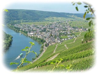 Blick aus den Weinbergen auf Kröv