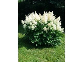 Maison de vacances Jork Enregistrement extérieur 5