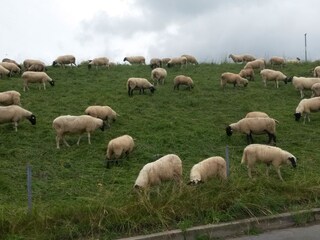 Casa per le vacanze Jork Ambiente 24