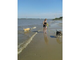 Casa per le vacanze Jork Ambiente 27