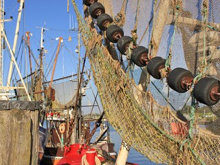 Krabbenkutternetze im Hafen von Greetsiel