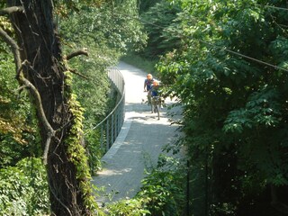 Appartamento per vacanze Meran Ambiente 15