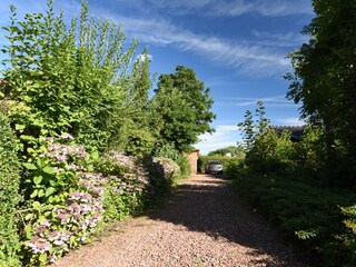 Vakantiehuis Zoutelande Buitenaudio-opname 4