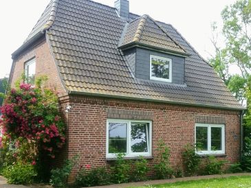 Ferienhaus Haus zwischen den Deichen