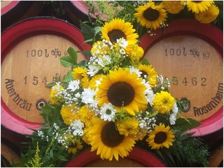 Holiday apartment Bruckmühl Environment 33